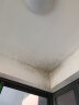 老管家墙体除霉剂500ml墙面衣柜瓷砖去霉斑霉菌清洁剂喷雾 晒单实拍图