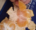 正宗浙江临海涌泉蜜橘桔子新鲜甜无核黄岩装薄皮蜜桔中秋送礼礼盒 【龙纹果】贡品级5斤20-24颗顺丰 实拍图