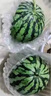 京营觅选麒麟西瓜 现摘新鲜美都西瓜【JD顺丰-送货上门】头茬冰糖西瓜 4个装【总重20-24斤】防摔包装 实拍图
