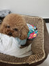 小爪星球（HICLAW）狗狗衣服法斗巴哥犬斗牛犬雪纳瑞八哥幼犬秋冬冬天衣服冬款棉服 【冬款加厚】大花棉衣 S（胸围47cm，建议5-8斤内） 实拍图