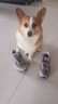 NEW BALANCE NB2002R官方休闲鞋男鞋女鞋情侣鞋夏季透气网面鞋复古时尚运动鞋 灰色 ML2002RC 39.5 (脚长24.5cm尺码详询客服) 实拍图