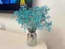 爱满（AIMAN）满天星天然干花花束ins网红生日 新房装饰摆件风干真插花家居摆设 天蓝色满天星  【不带花瓶】 实拍图