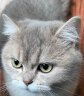 鲜朗（XIANLANG）低温烘焙猫粮无谷幼猫成猫专用全阶段鸡肉猫粮4斤装 晒单实拍图