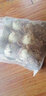 KERRY面包虫活体饲料黄粉虫鸟鱼龟蜥蜴金龙鱼鬃狮蝎子守宫食物幼体幼虫 买1斤送1斤（发2斤）【70%选择】 实拍图