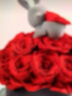 西罗斯（SEEROSE）19朵保鲜玫瑰永生花束抱抱桶小熊兔子送女朋友情人节纪念生日礼物 抱抱兔-告白兔 全国7仓发-不支持代写贺卡 实拍图