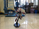 万代（BANDAI）高达拼装模型HG SEED 机动战士高达 完美强袭短剑神意迅雷拉寇 R16 M1异端 5060363 实拍图