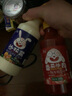 椒达人沙拉酱番茄沙司奶香酱三明治蔬菜水果牛排寿司汉堡酱酱类大全组合 1瓶沙拉酱+1瓶番茄酱 实拍图