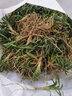日本玉龙草矮麦冬草坪庭院别墅草平植物四季常青园林绿化麦冬草苗 1平方净草5斤 10cm以下 实拍图