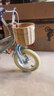 凤凰（Phoenix）儿童自行车3-6-10-13岁小男女孩学生脚踏车带辅助轮 向日葵系列 【爆】向日葵（带手工藤篮） 12寸【建议身高80-95cm】 实拍图
