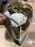 babycare山茶花纸尿裤夜用尿不湿婴儿超薄透气花苞裤bbc尿布夏日 纸尿裤【L】3片 适合9-14KG 实拍图