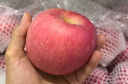 农鲜淘 洛川红富士苹果 8斤 单果约200-230g 生鲜水果脆甜苹果礼盒装 晒单实拍图