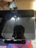 佳凡适配13 ipad Air Pro 11耳机有线OPPO Reno15苹果17 16魅族21三星S26 ROG9红米K90小米17半入耳式 【旗舰版】【HiFi音质】【K歌游戏】磁吸款天空黑 实拍图