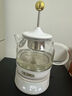 膳魔师（THERMOS）养生壶迷你电水壶便捷家用办公室时尚精致煮茶器恒温多功能电热水壶花茶壶养生杯EHA-1602E 白色 0.55L 实拍图