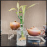 掬涵 小型复古玻璃器皿欧式花瓶花器透明干花插花水培客厅装饰摆件 E（6.2*12.6cm） 实拍图
