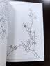 满庭芳 工笔白描百花画谱 实拍图