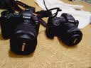 佳能（Canon）RF全画幅专业微单定焦镜头适用于R3 R5二代 R5 R6 R6二代 R7 R8 R10 R50 RP R100广角人像微距镜头 RF24mm F1.8 IS STM 官方标配【京东 实拍图