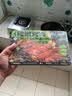 天顺源醇香羔羊肉卷 2斤 新西兰草饲羔羊调理羊肉片 冷冻生鲜 火锅食材 实拍图