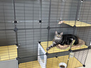 蔻丝猫笼子超大号猫窝别墅带厕所一体隔离适合幼猫大猫柜家用宠物猫笼 【3层1卫4室】加长款多猫可用 基础款【封闭猫砂盆带铲+爬梯】 实拍图