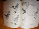 飞鸟绘+花鸟绘+繁花绘（套装共3册） 实拍图