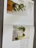 植物风格（我的植物生活新提案系列） 中信出版社 实拍图
