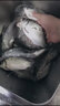 力丸 力丸日本进口鱼线 碳素钓鱼海钓子线 矶钓筏钓路亚前导线氟碳线高比重沉水耐磨 鲷100m 1.2号(100m) 实拍图