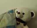 璇卉猪特大号毛绒玩具抱抱熊公仔大熊泰迪熊猫布娃娃睡觉抱枕女生礼物 围巾熊白色 1米 实拍图