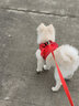 SLPC狗狗胸背带牵引绳小型犬泰迪背心式遛狗绳反光透气小狗背带狗绳子 红色 M（适合6-9斤） 实拍图