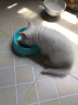麦富迪 猫湿粮包猫条猫罐头拌饭营养冻干猫零食 混合装85g*12 实拍图