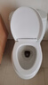 尔沫（EM） 马桶盖通用型坐便器盖子家用老式马桶圈配件加厚缓降圆底座快拆 【V型】快装 马桶通用款 实拍图