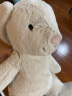 Steiff（史戴芙）兔子毛绒玩具Hoppie小兔子安抚玩偶公仔娃娃毕业礼物送女友老婆男女生生日礼物女儿童玩具六一儿童节礼物女孩布娃娃兔子抱枕送男女朋友礼物礼盒 晒单实拍图