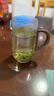 忆壶茶 玻璃杯大容量水杯带把绿茶杯玻璃高颜值泡茶杯子 【致愿绿茶杯】透明-450ml 实拍图