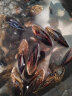 鲜京采鲜活净化淡菜350g 净化贝壳 鲜活海鲜 实拍图