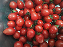 玲珑圣女果釜山88小番茄5斤樱桃小柿子迷你孕妇水果西红柿新鲜FF 4.5（带箱5斤） 实拍图