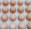 温润食品鲜鸡蛋 20枚 粉壳蛋 谷物喂养 原色营养 健康轻食1kg 实拍图