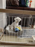 爱丽思（IRIS）狗围栏宠物笼子狗狗木质狗栅栏猫咪护栏大型犬泰迪用品 S号茶色【暖冬套餐】 笼顶需加拍 实拍图