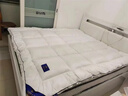希尔顿羽绒床垫软垫床褥垫加厚hilton五星级酒店褥子学生宿舍垫子 【正品希尔顿逸林抗菌防螨】白色 1.5x2.0m【酒店加厚床垫10cm】 实拍图