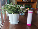 膳魔师（THERMOS） 保温杯男女士商务水杯便携500mL车载杯进口经典款快开JNO系列 502-SHP 浅粉 500ml 实拍图