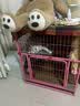 比瑞吉猫粮草本处方调理车前子泌尿道低卡山楂健胃肠道缓解猫室内成猫粮 无谷冻干六种鱼猫粮8kg 实拍图