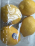 新奇士（Sunkist） 美国柠檬 4粒 特级 单果80-120g 新鲜水果 实拍图