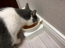 麦富迪（Myfoodie）猫粮 冻干鲜粮三文鱼鸡肉全期猫粮 1.8kg 晒单实拍图