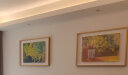 橙舍阳光请进客厅画沙发背景画餐厅装饰画小众艺术画高级感挂陈舜芝 阳光请进-鎏金（70%的客户选择） 装裱尺寸80cm*60cm无镜面 实拍图