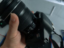 佳能/Canon 600D 700D 750D 760D 800D 850D二手单反相机新手学生入门旅游高清相机 750D+18-135 IS STM【套机】 99新 实拍图