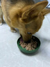 多可特（D-cat）狗罐头狗零食罐头成犬幼犬全品种狗粮伴侣狗狗湿粮膳食罐 【胃口大开】混合口味85g12罐 实拍图