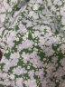 lagogo拉谷谷夏日多巴胺气质连衣裙女夏季新款清新海边碎花茶歇裙 绿蓝（LN） 160/M/38 实拍图
