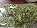 品茸堂 石竹茶  青竹叶 竹叶茶 竹叶茶叶 淡竹叶茶 花草茶 石竹茶100g 实拍图