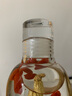 曼薇玻璃小酒壶随身泡酒瓶空瓶便携装酒容器密封药酒瓶白酒红酒洋酒瓶 时光酒壶（一斤装-无刻度） 实拍图