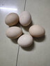 我老家 农家谷物鸡蛋 山林散养初生蛋鲜鸡蛋 15枚装600g 实拍图
