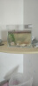 SEA STAR 超白鱼缸超白玻璃水族箱 小型鱼缸桌面客厅斗鱼乌龟缸草缸金鱼缸 裸缸150*110*130 实拍图