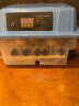 暖立方 家用型孵化器智能小鸡孵化机全自动小型鸡鸭鹅孵化箱芦丁孵蛋器 【自动加水】6枚全自动双电 实拍图