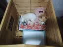 北鼻狗 狗垫子狗窝猫窝 宠物垫子小中大型犬窝垫 泰迪狗狗用品睡垫毛毯 灰色90*70CM【适合50斤内】 实拍图